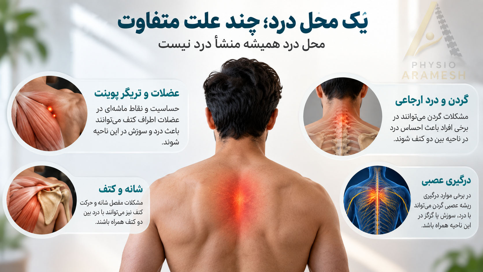 علتهای درد و سوزش بین دو کتف؛ درد عضلانی، تریگر پوینت، گردن و علل عصبی