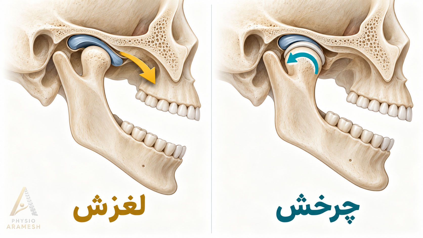 چرخش و لغزش مفصل فک هنگام بازکردن دهان